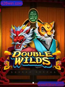 Explorando DoubleWilds: Um Guia Completo para Iniciantes